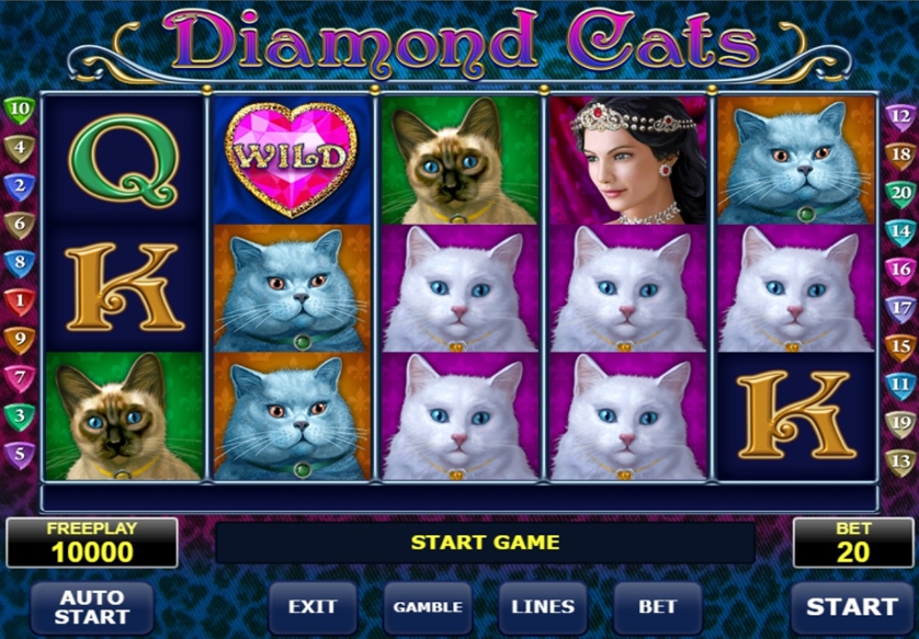 Diamond Cats