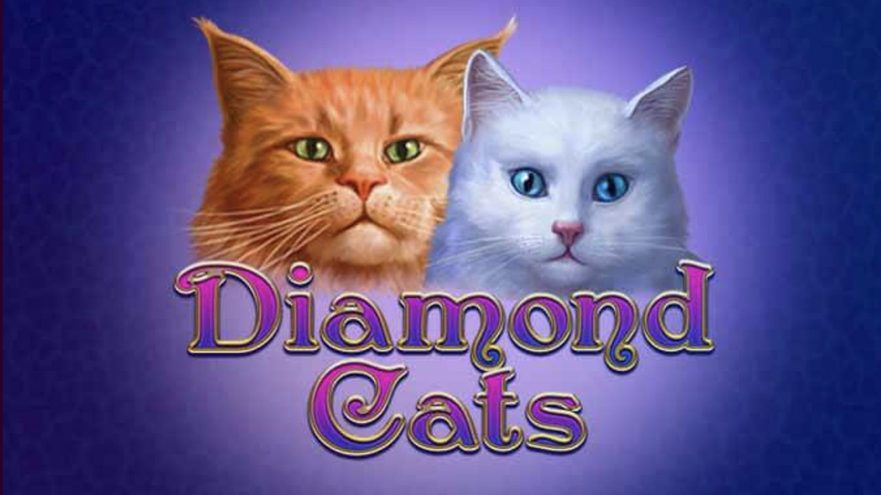 diamond cats slot