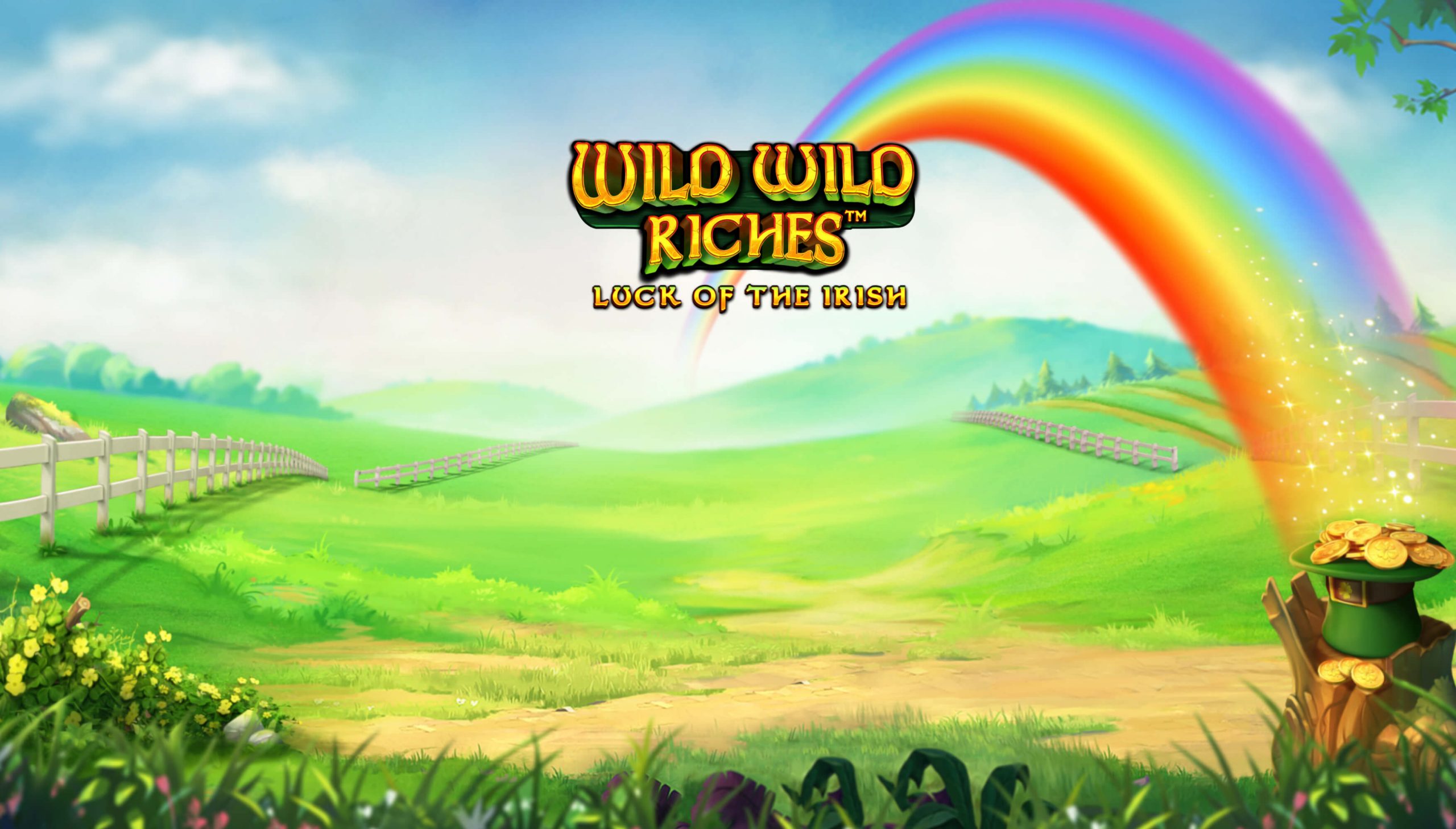 wild wild riches играть